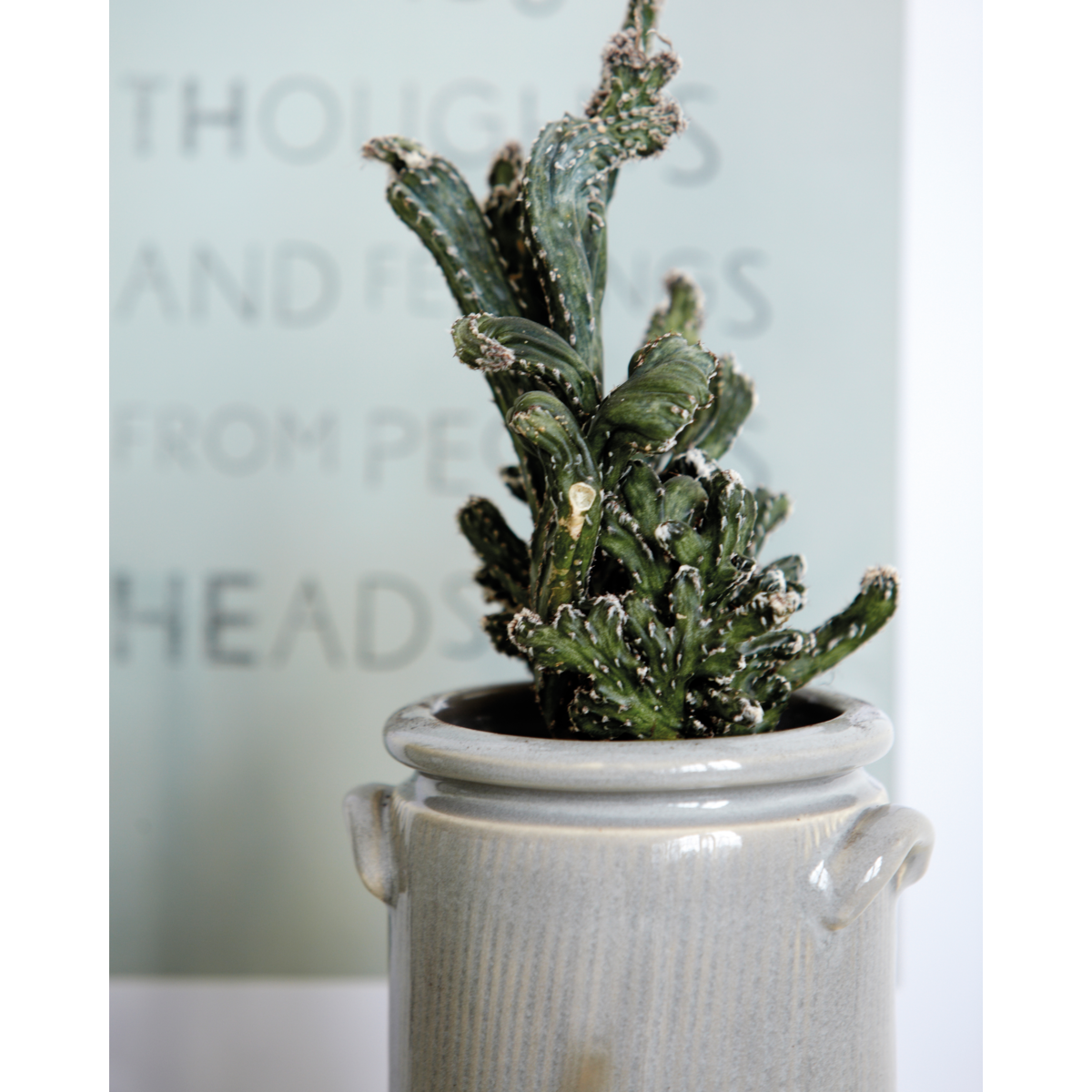 Plantkruka, HDPottery XL, Sand