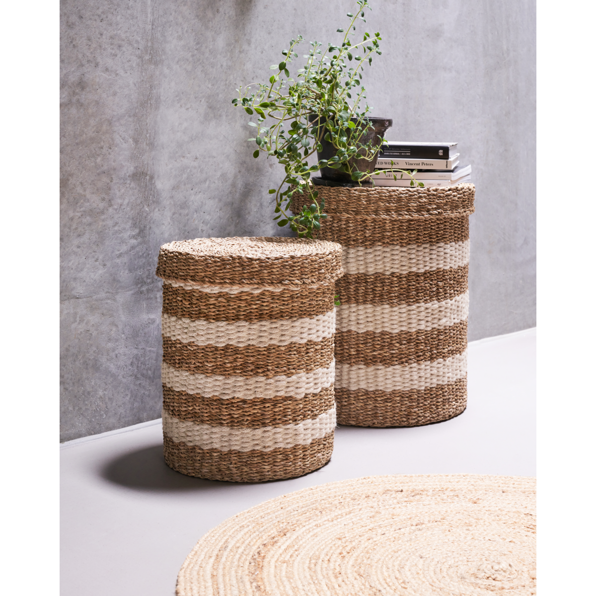 Lagringskurva, hdgeet, natur; Brun