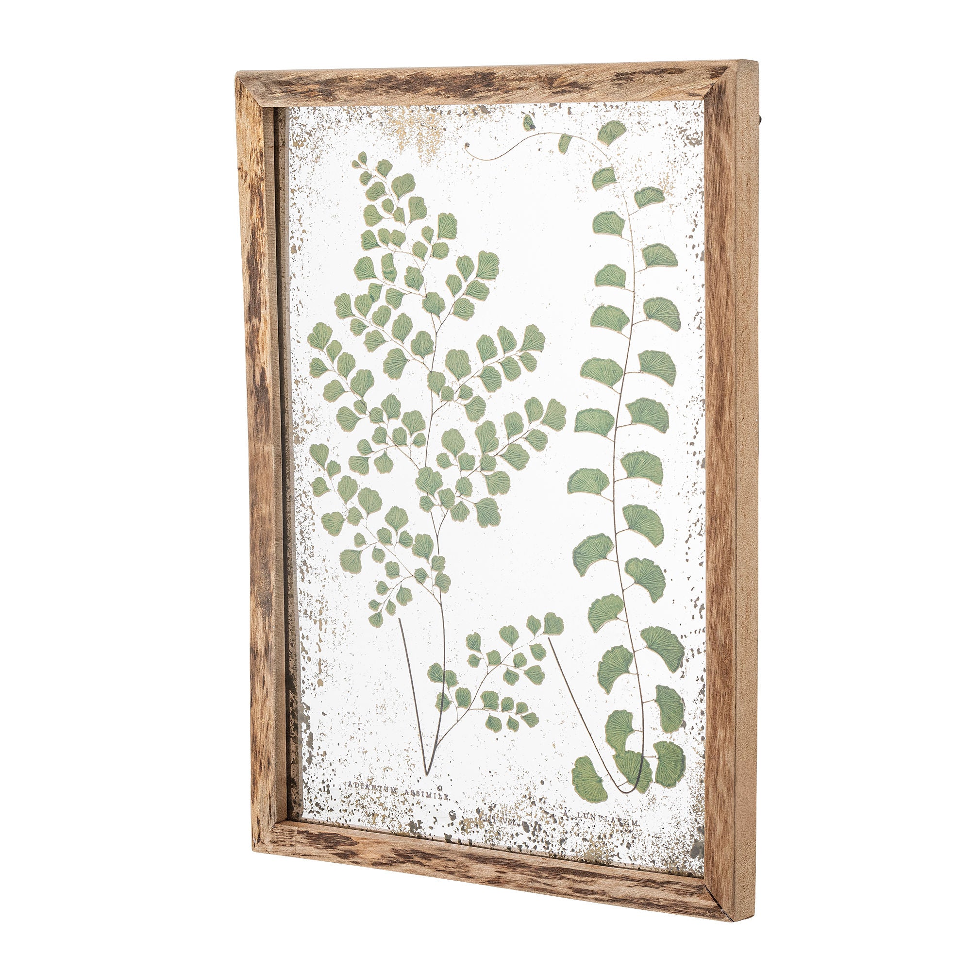 Creative Collection Tipper Illustration med ram, natur, tall