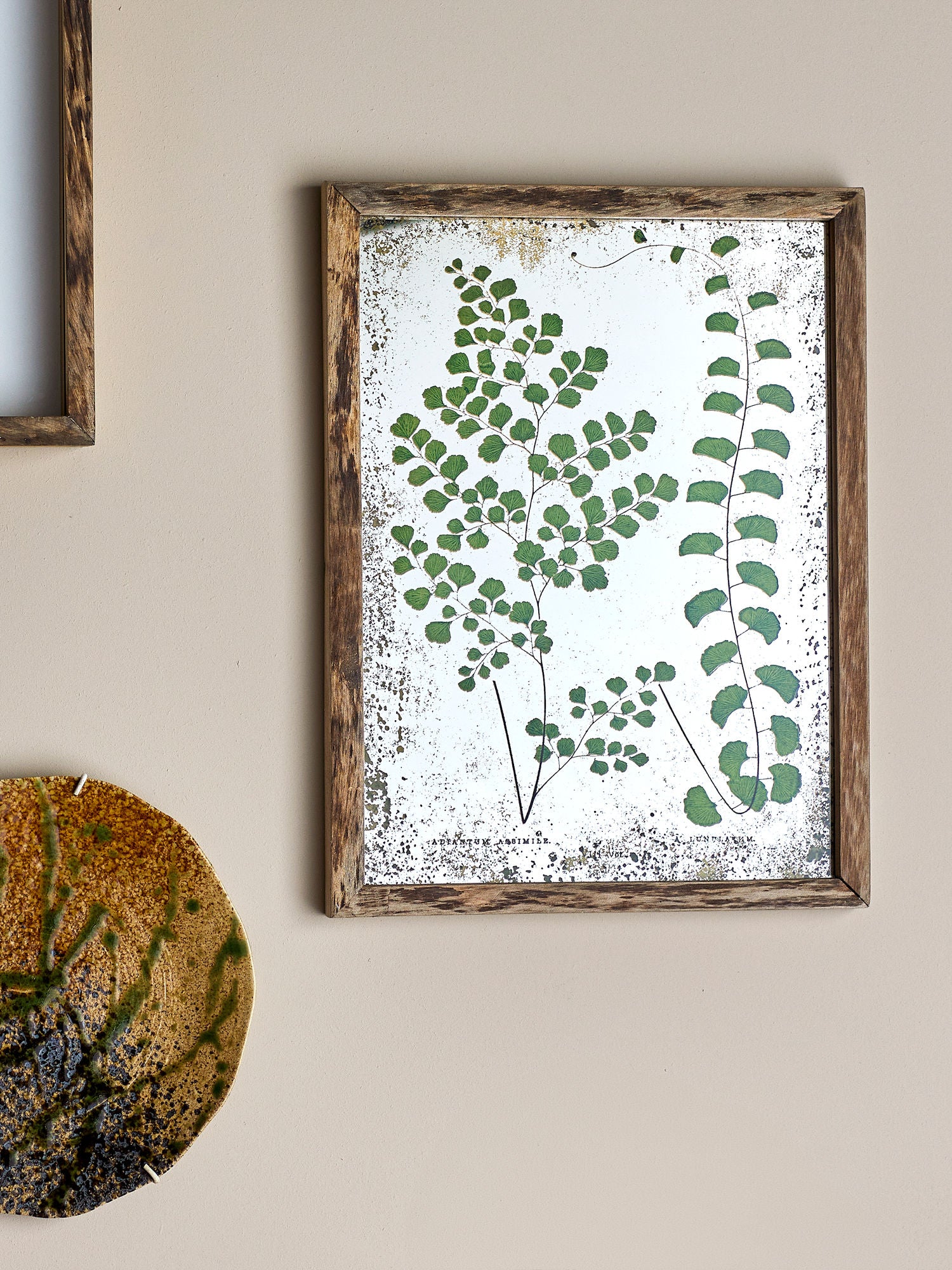 Creative Collection Tipper Illustration med ram, natur, tall