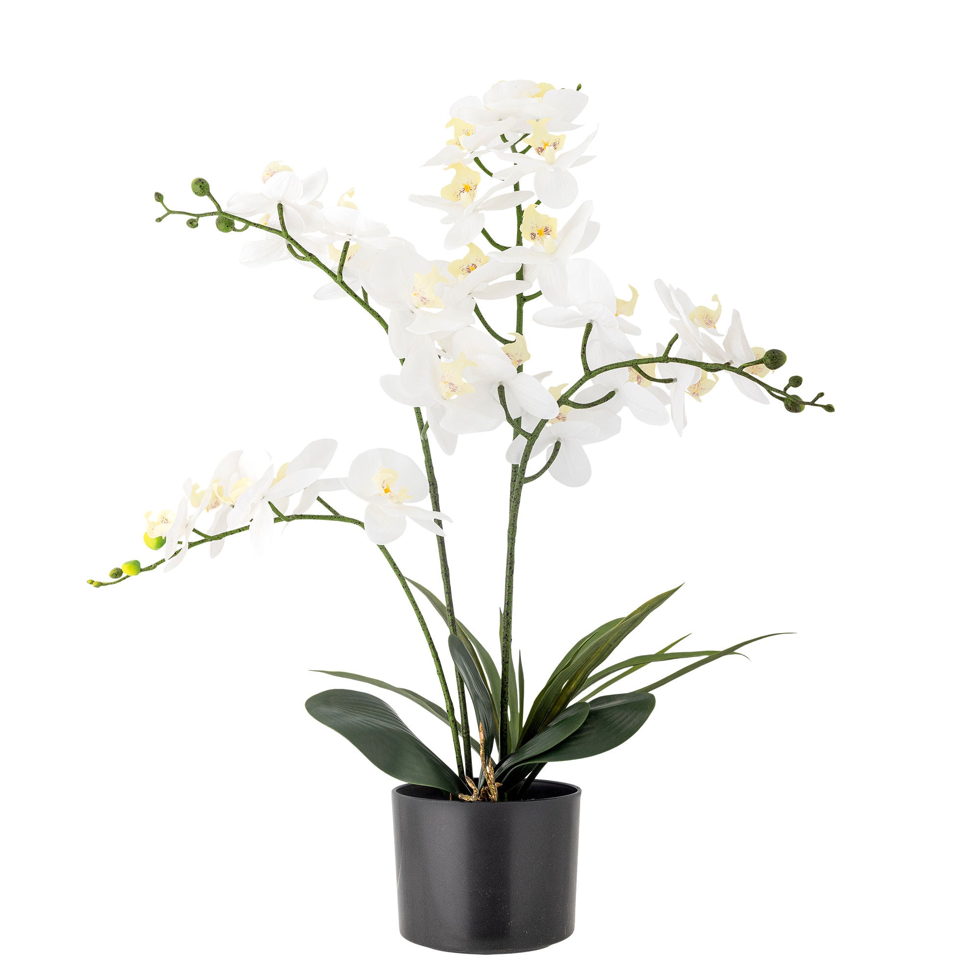 Bloomingville Orchid -växt, gröna, konstgjorda blommor