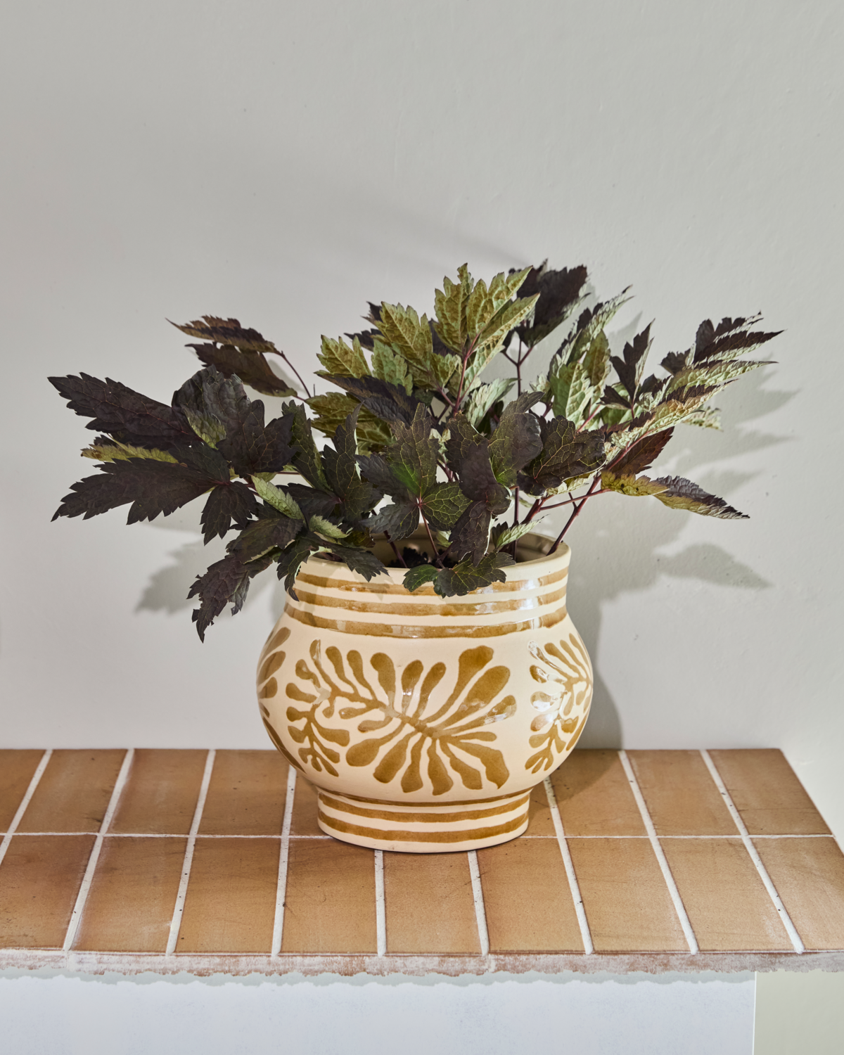 Blomkruka, HDIvy, Beige