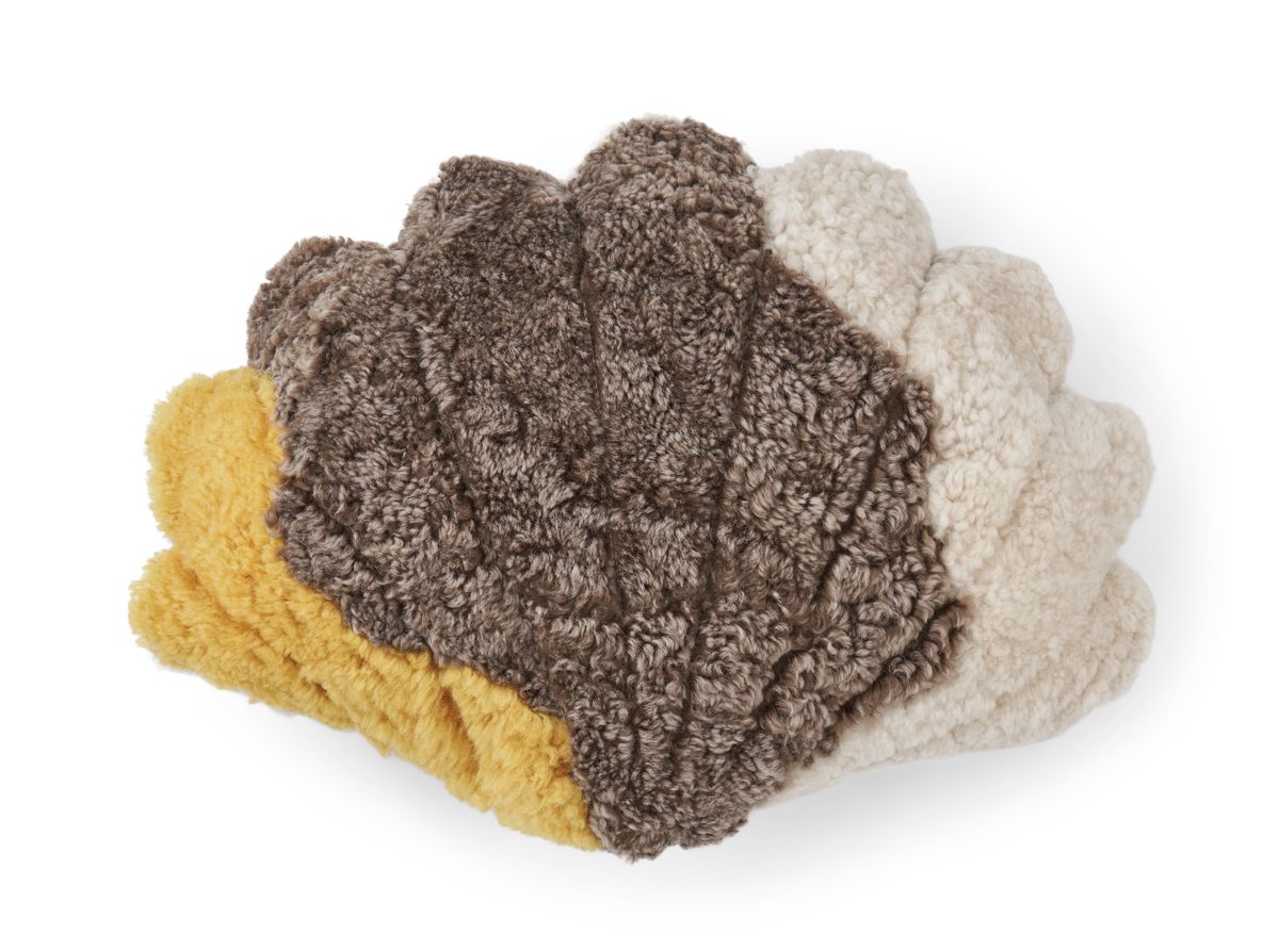 Trefärgad skalkudde | Korthårig | Nya Zeeland