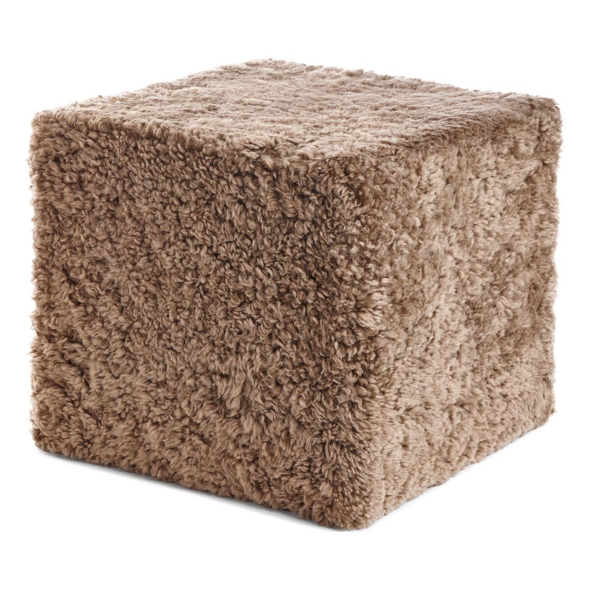 Poff | Korthårig | Nya Zeeland