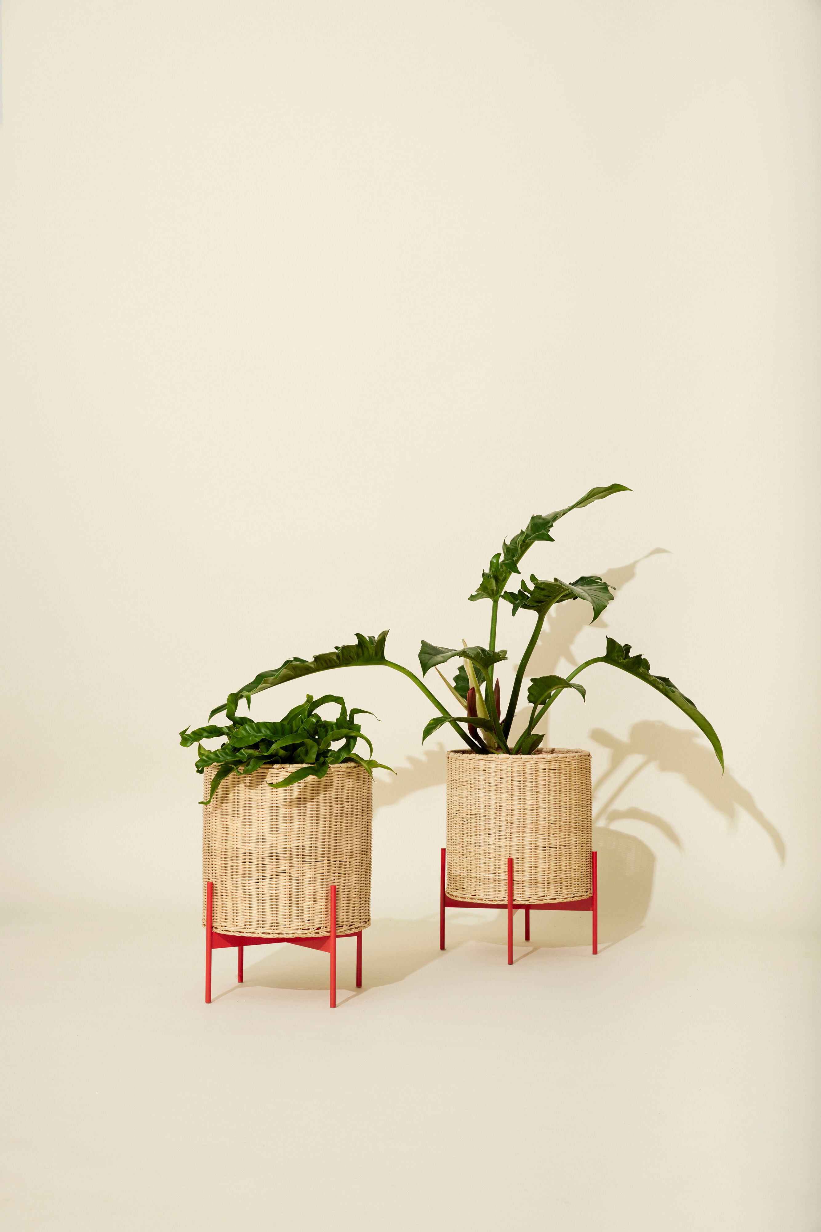 Splintkruka Natur/Röd - ø30xh40cm