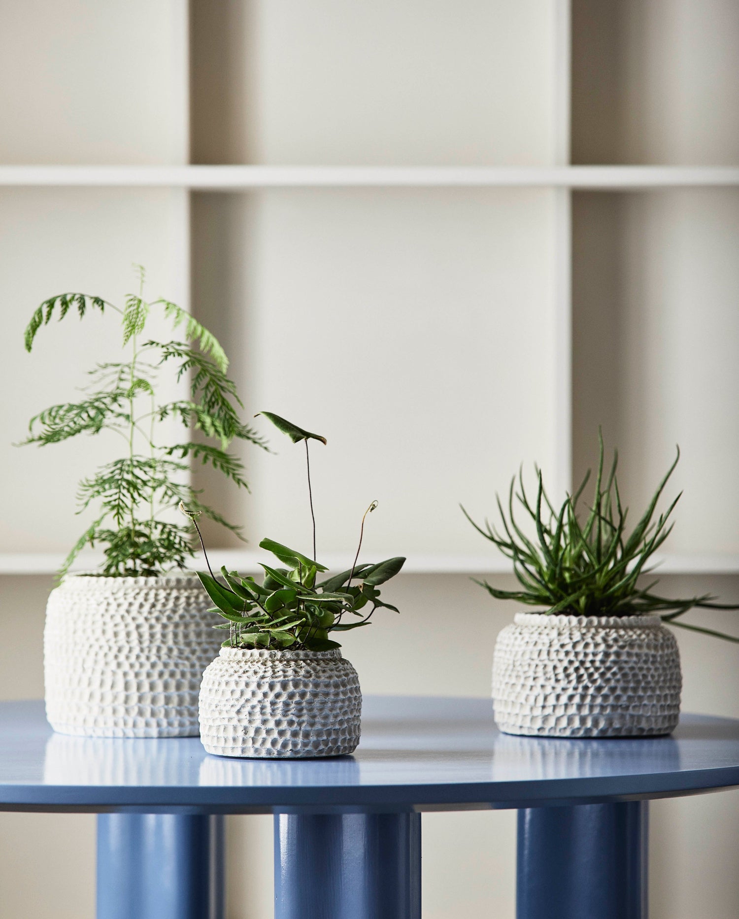 Aoba burk i cement, m - vit