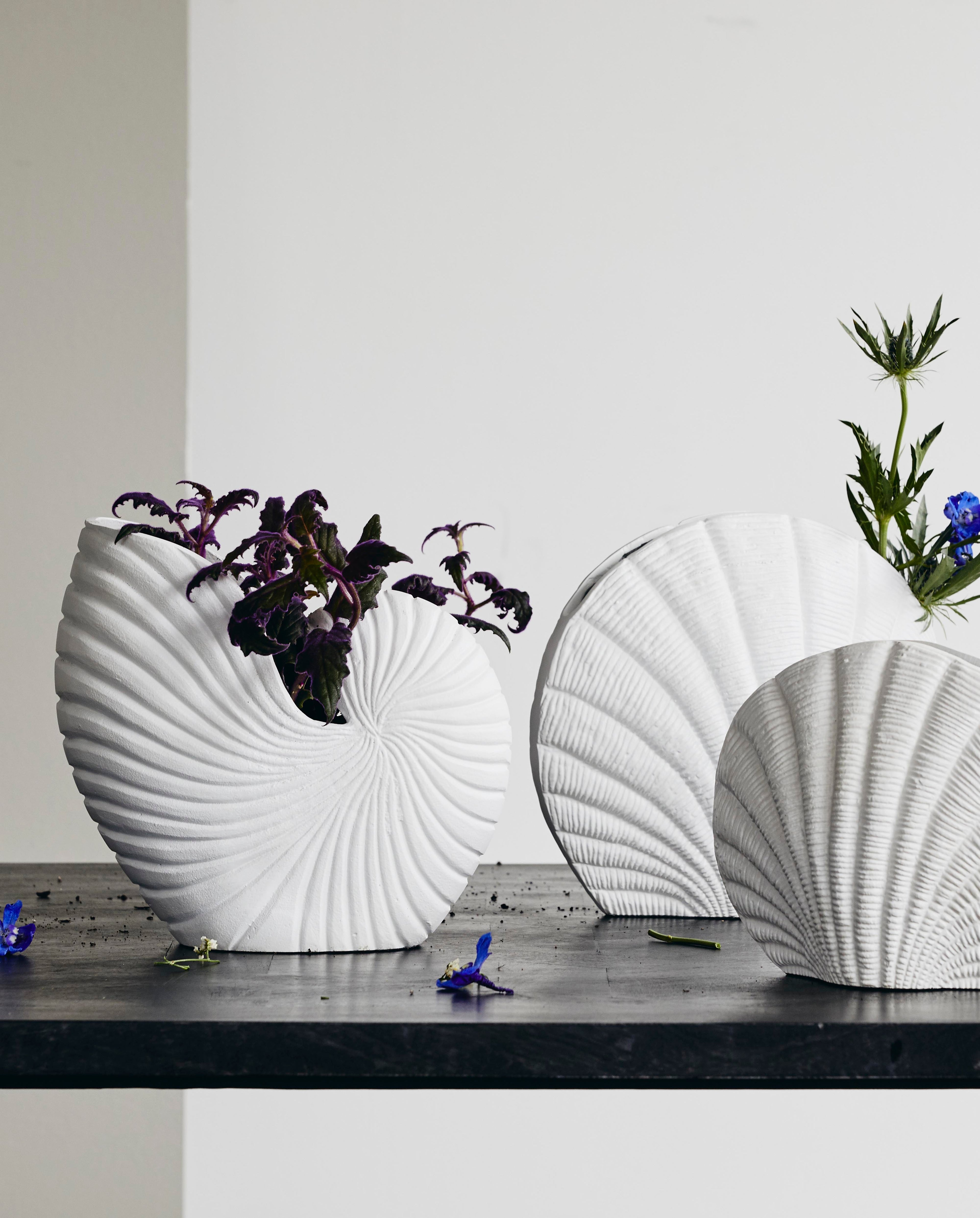 Rakitu blommor vas - conch - h25 cm - vit
