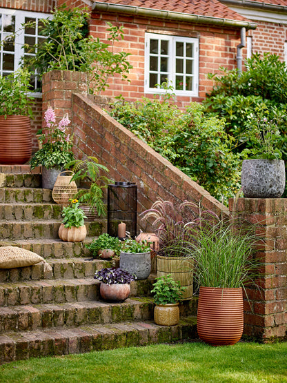 Bloomingville Marko Herbal Potted Hlages, Gray, Terracotta