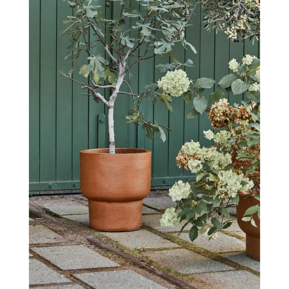 Örttpanna, hdterra, antik brun