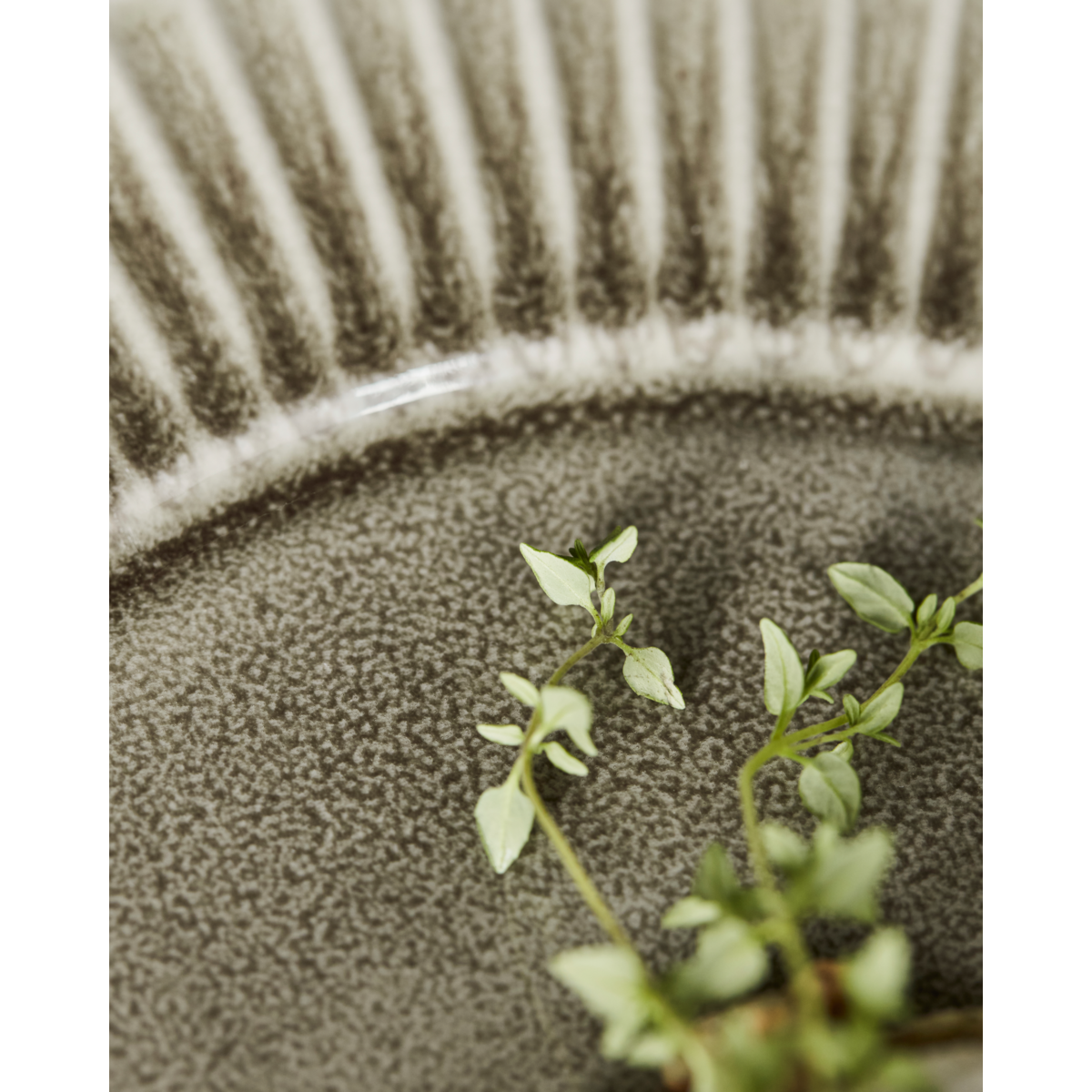 Middagsplatta, hdPleat, Gray;