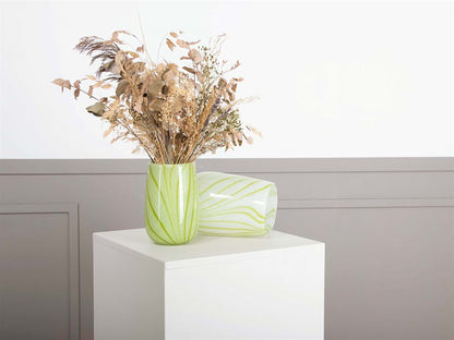 Zinnia vas, lime