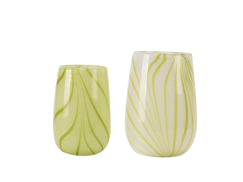 Zinnia vas, lime