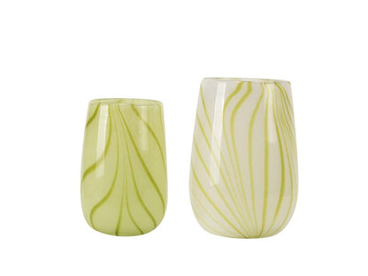 Zinnia vas, lime