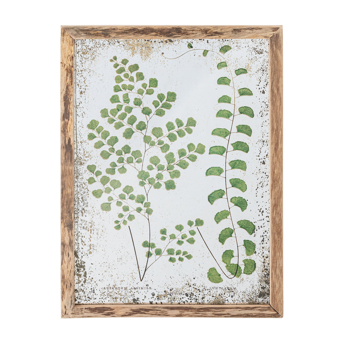 Creative Collection Tipper Illustration med ram, natur, tall