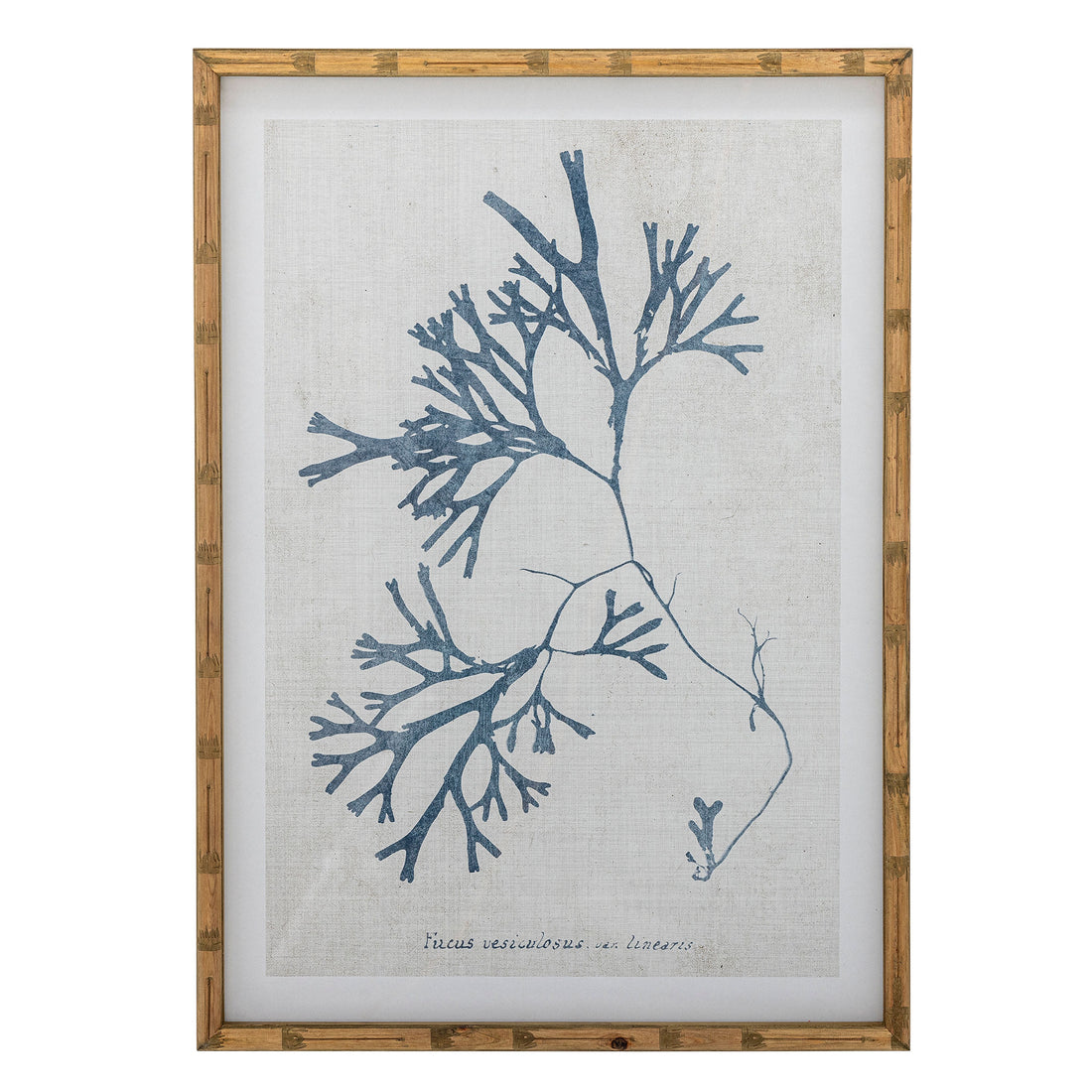 Creative Collection Sumner Illustration med ram, natur, tall