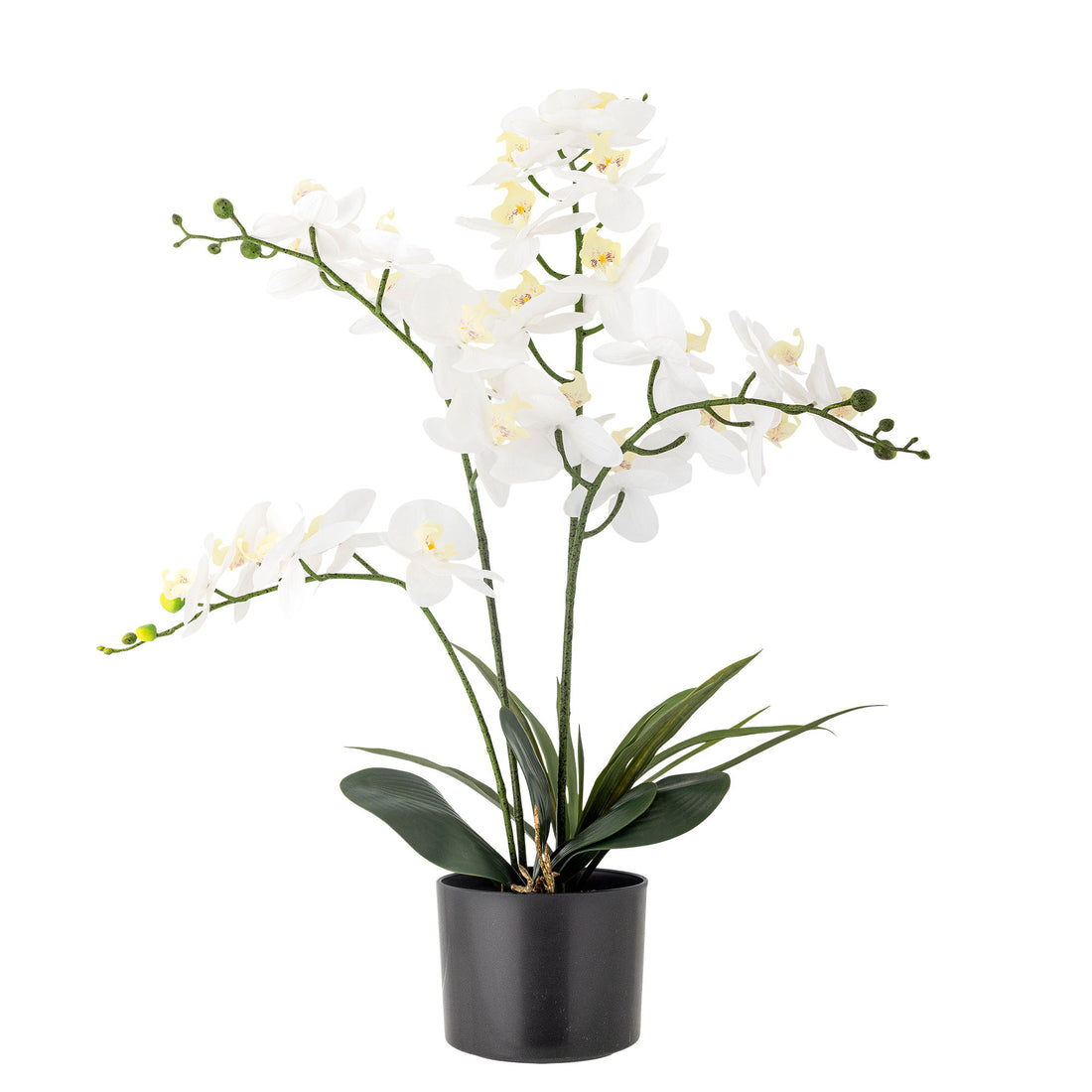 Bloomingville Orchid -växt, gröna, konstgjorda blommor