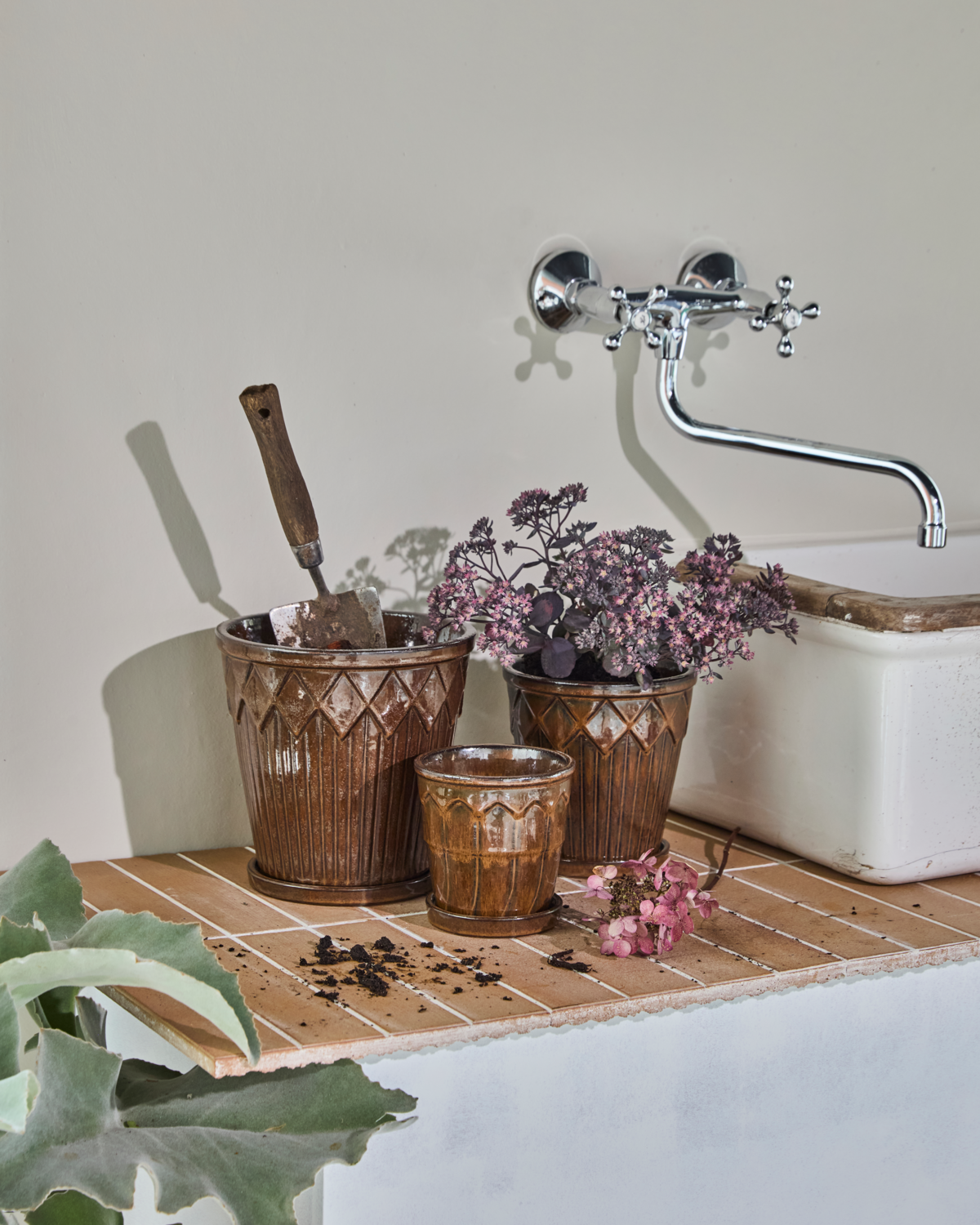 Blomkruka, HDCora, Brun