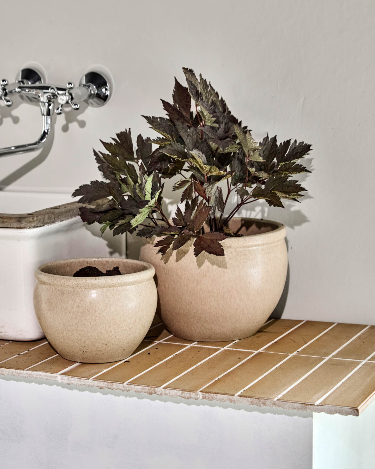 Blomkruka, HDVale, Beige