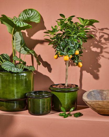 Växtkruka, HDHoop, Grön