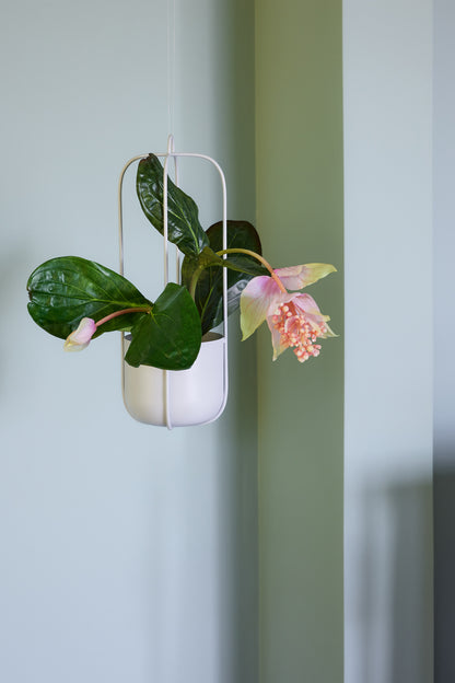 Lotus hängande potten ljusgrå (uppsättning av 2) - Ø16xh44cm