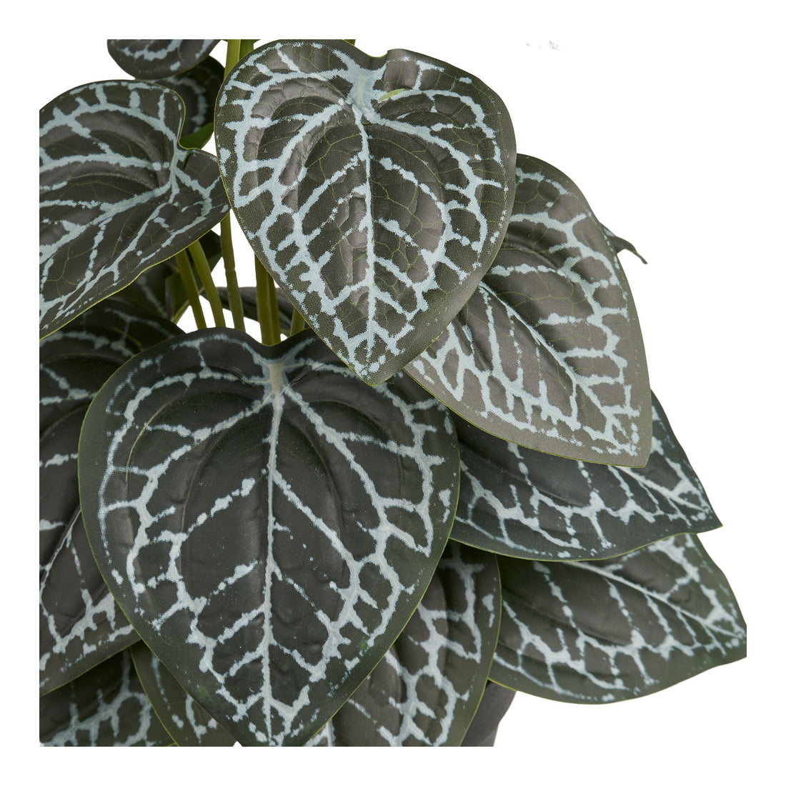 Artificial Plant - Plant, Green H: 33 cm