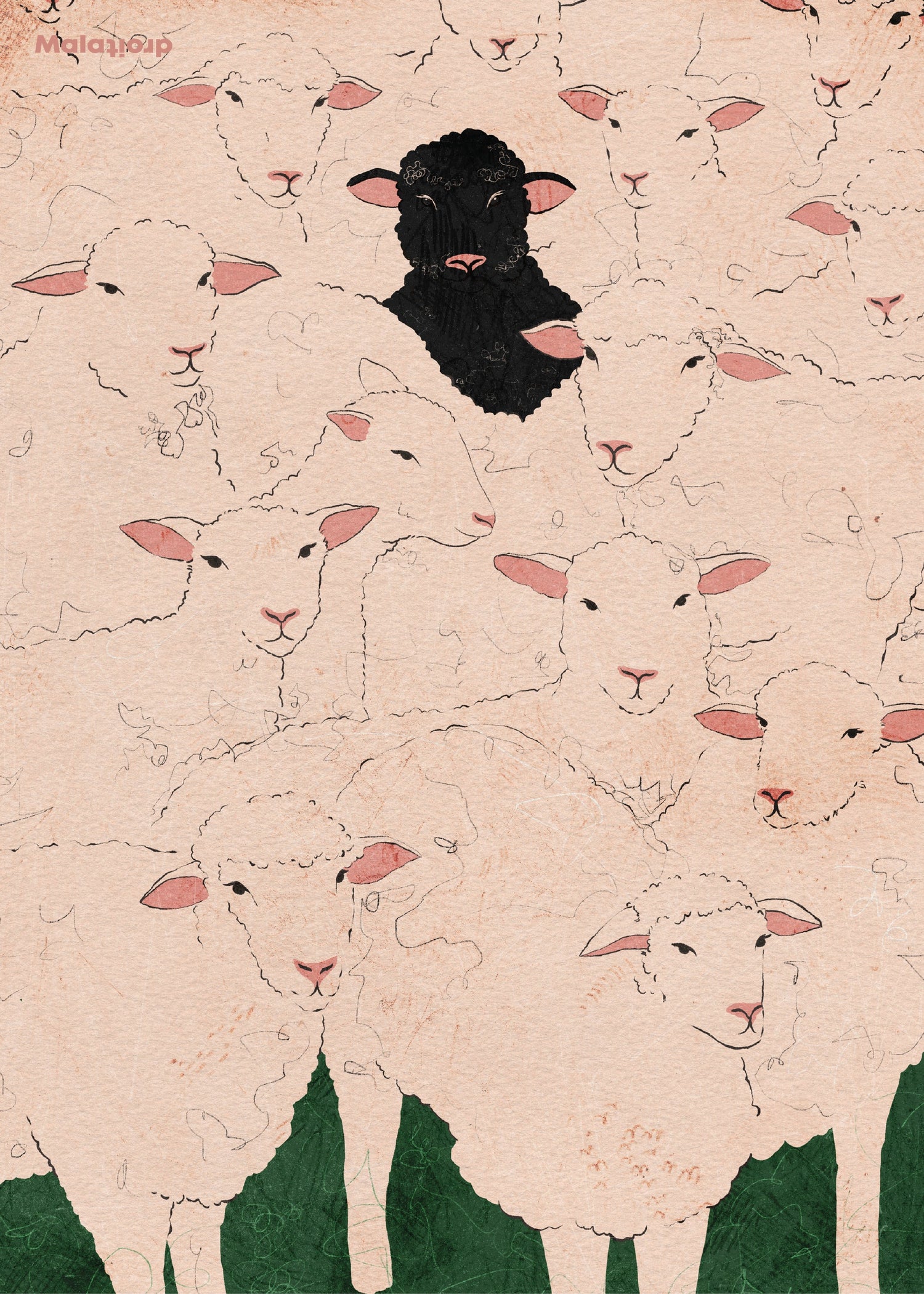 Det svarta fåret