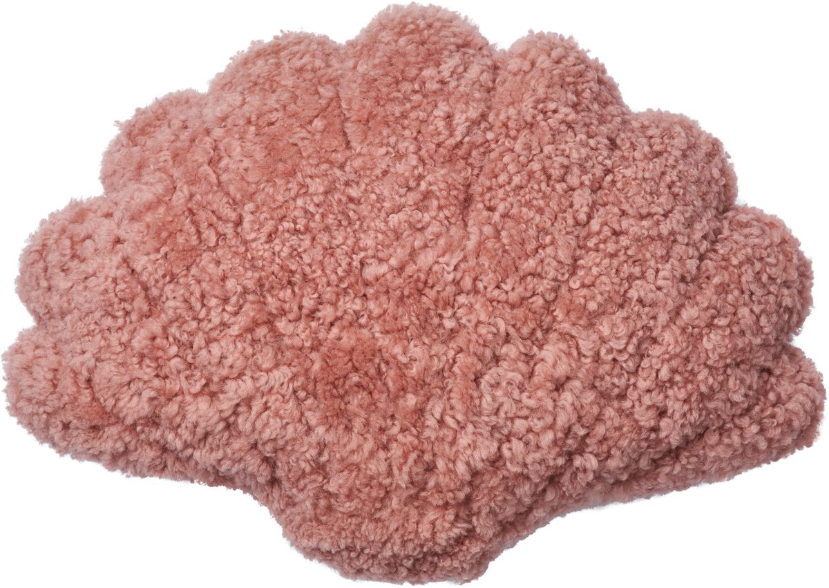 Skalkudde | Korthårig | Nya Zeeland