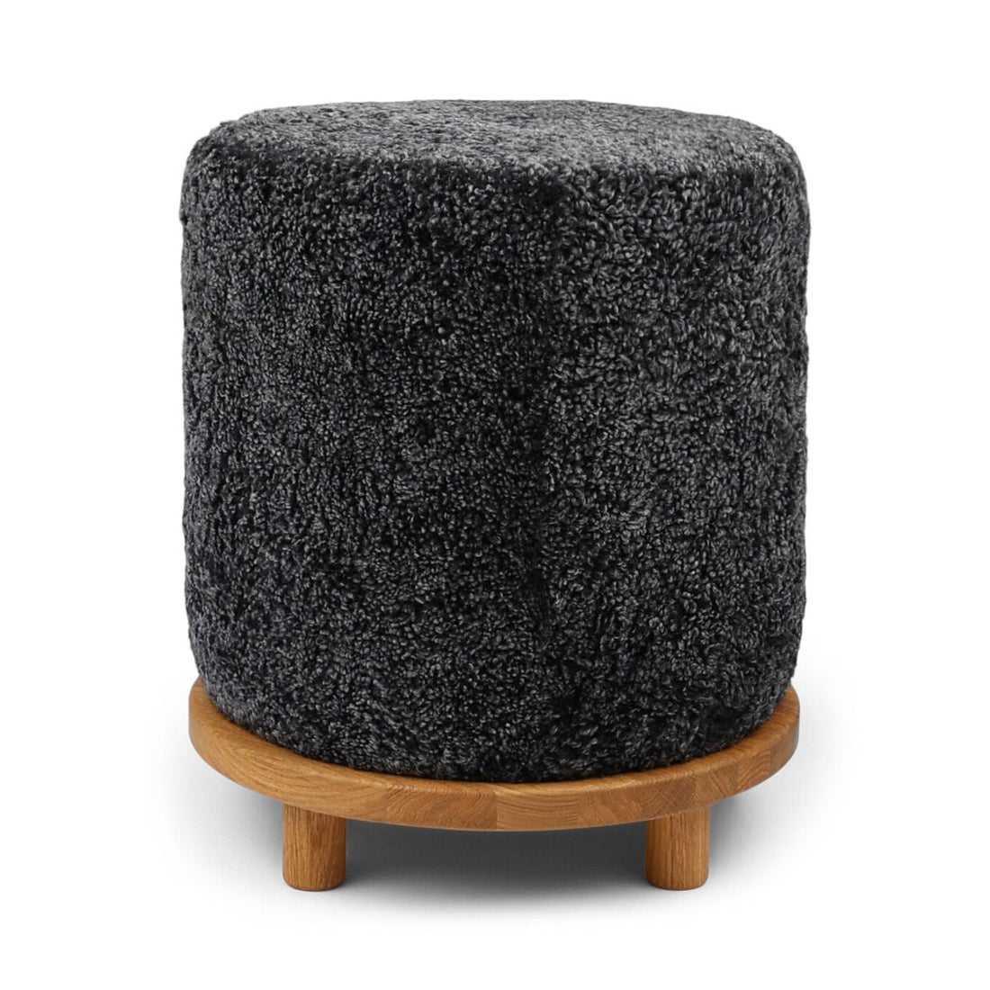 Simon Puf | Korthårig