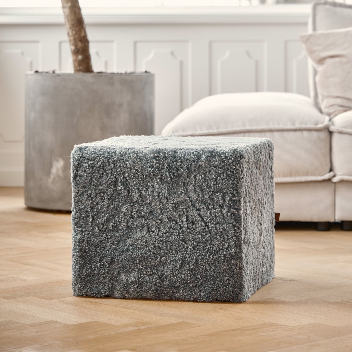 Poff | Korthårig | Nya Zeeland