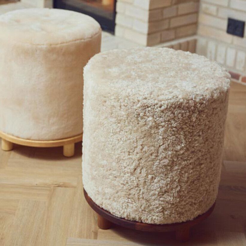 Simon Puf | Korthårig