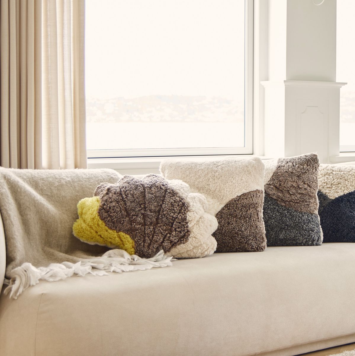 Trefärgad skalkudde | Korthårig | Nya Zeeland