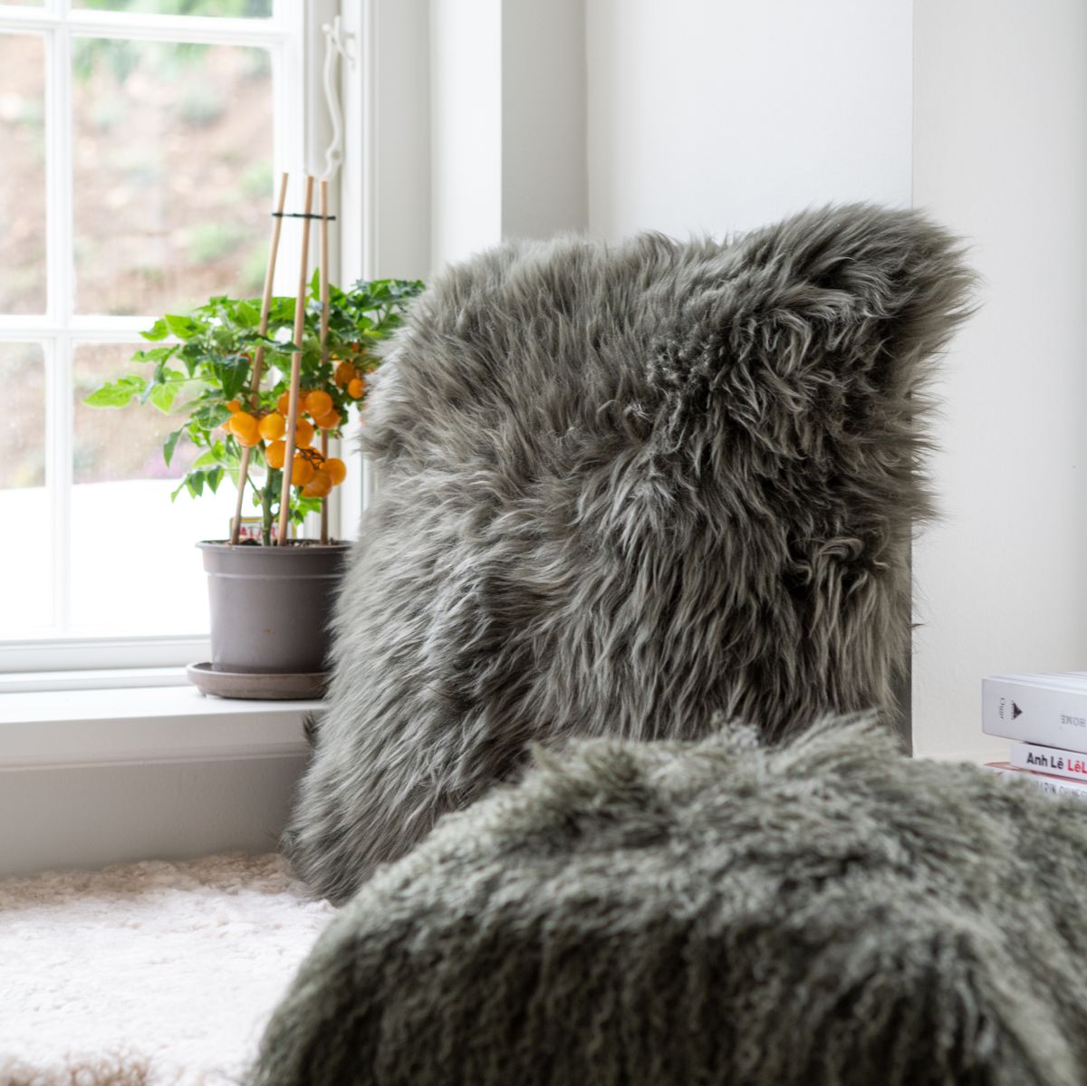 Lammskinnskudde | Långhårig | Nya Zeeland | 50x50 cm