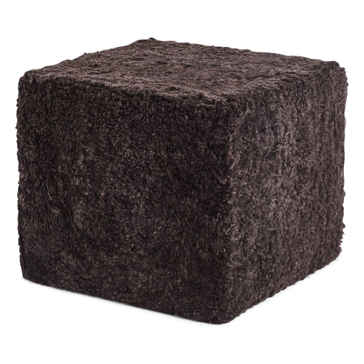 Poff | Korthårig | Nya Zeeland