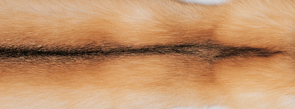 Pläd | Kashmir, räv | 130x200 cm