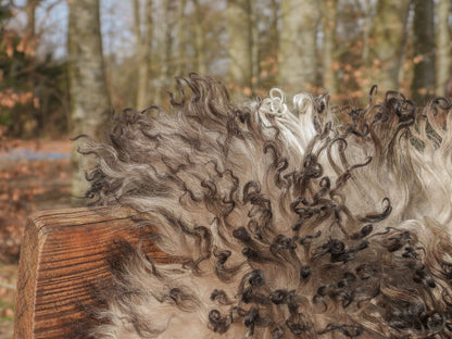 Lammskinn | Lockigt | Österrike | 90x60 cm