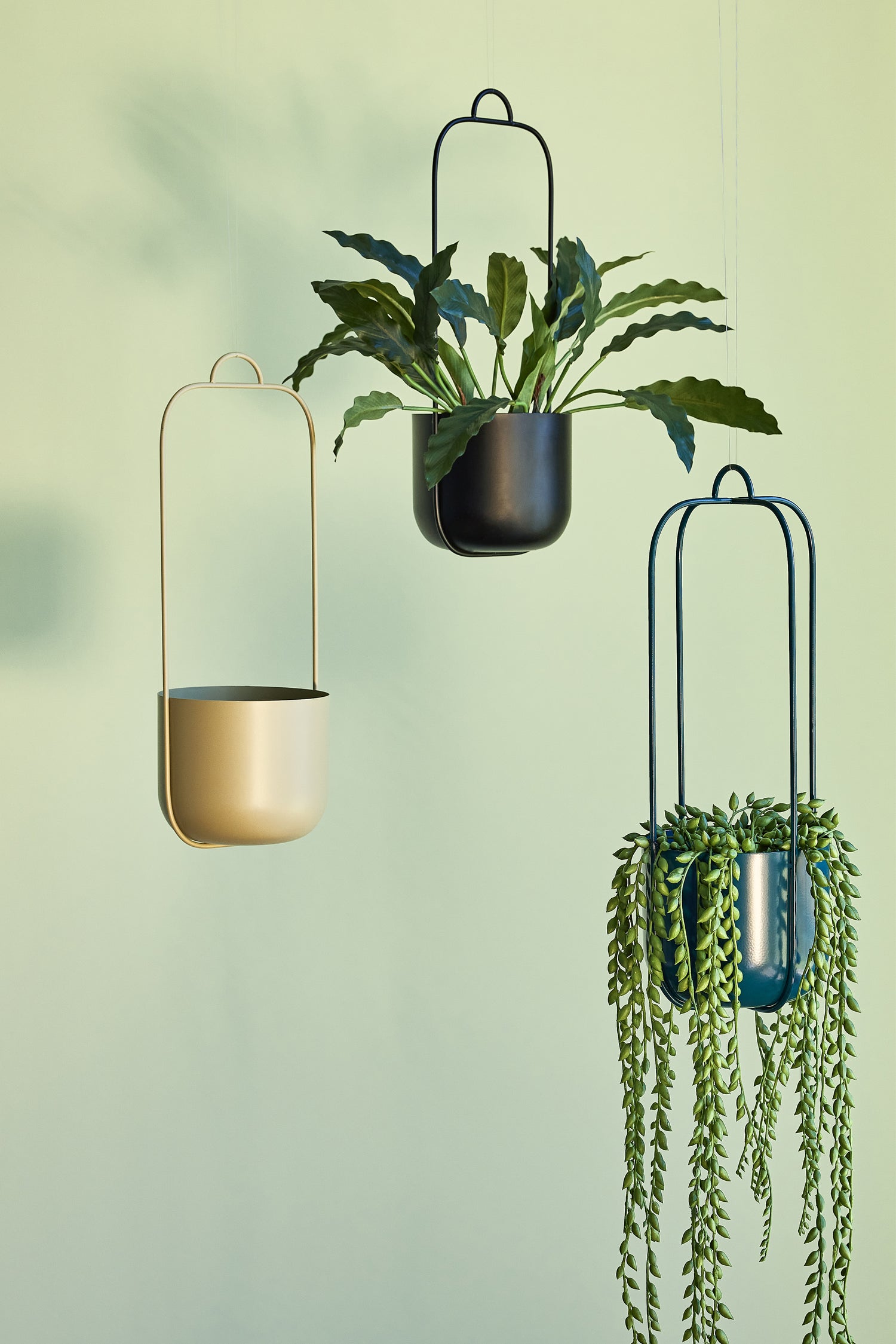 Lotus hängande potten svart (uppsättning av 2) - Ø16xh44cm