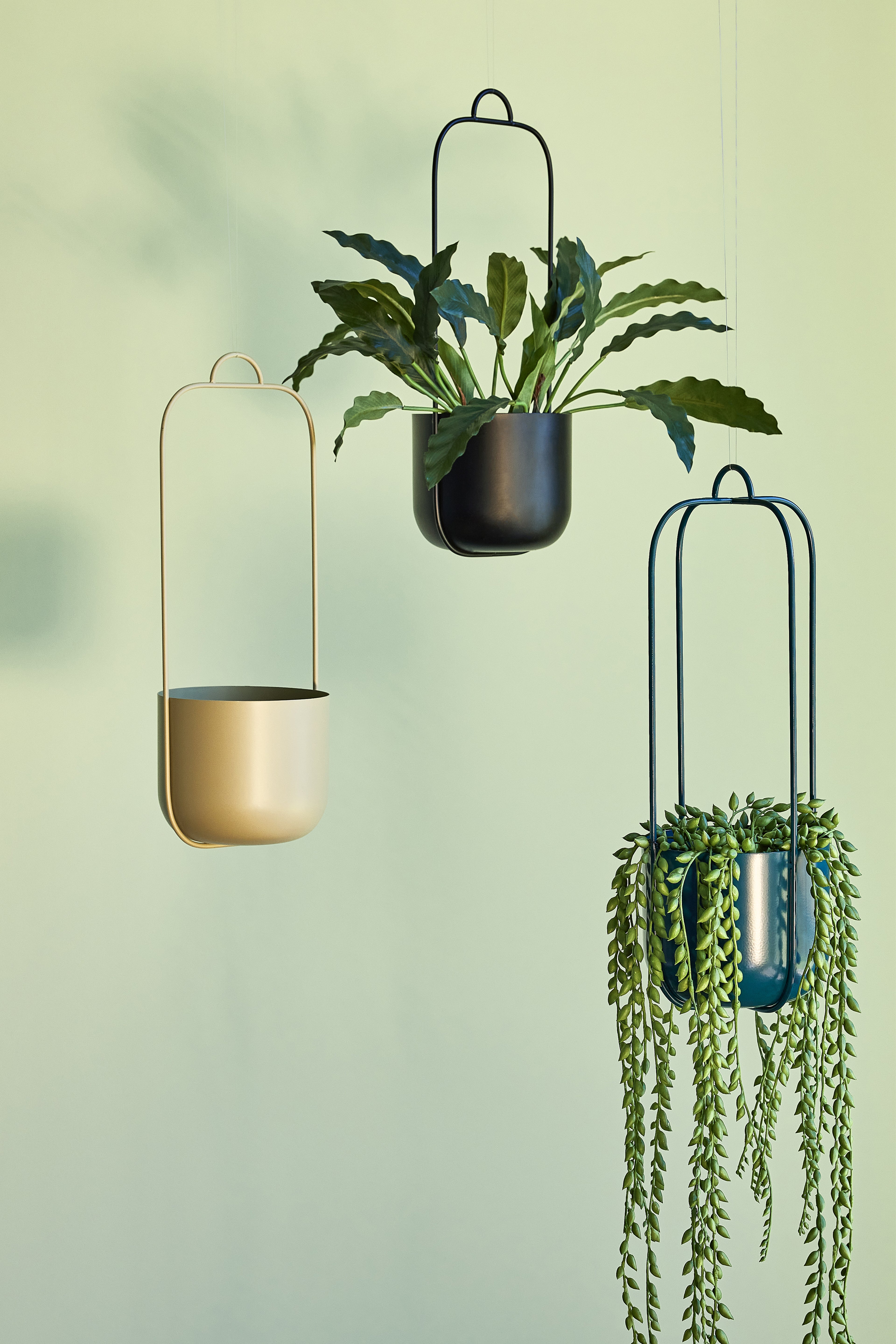 Lotus hängande potten svart (uppsättning av 2) - Ø16xh44cm