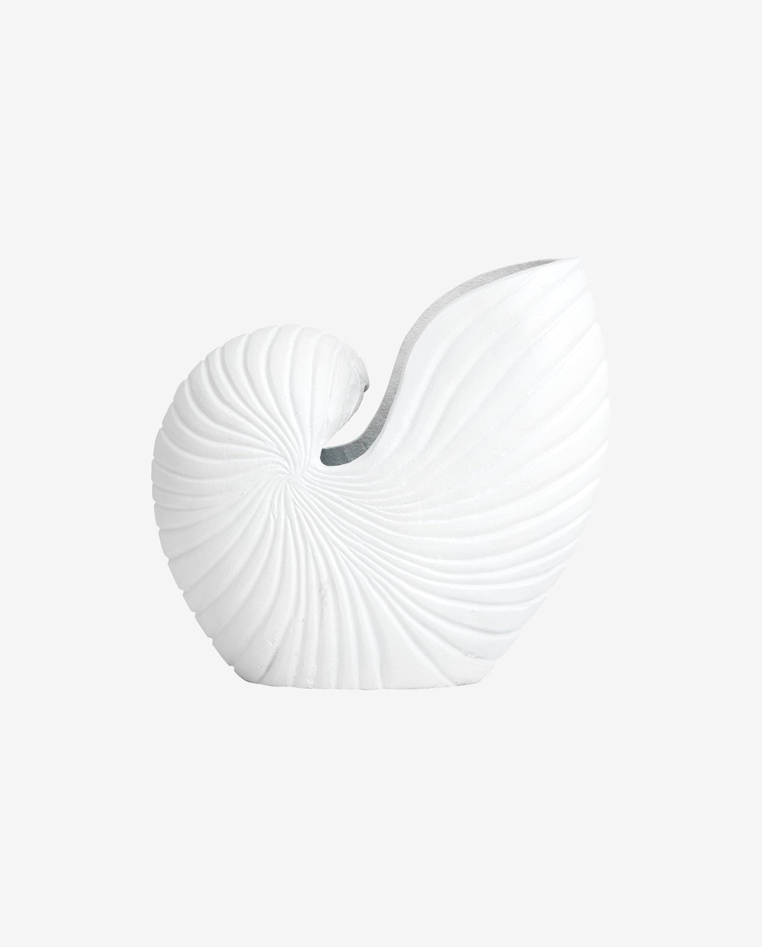 Rakitu blommor vas - conch - h25 cm - vit