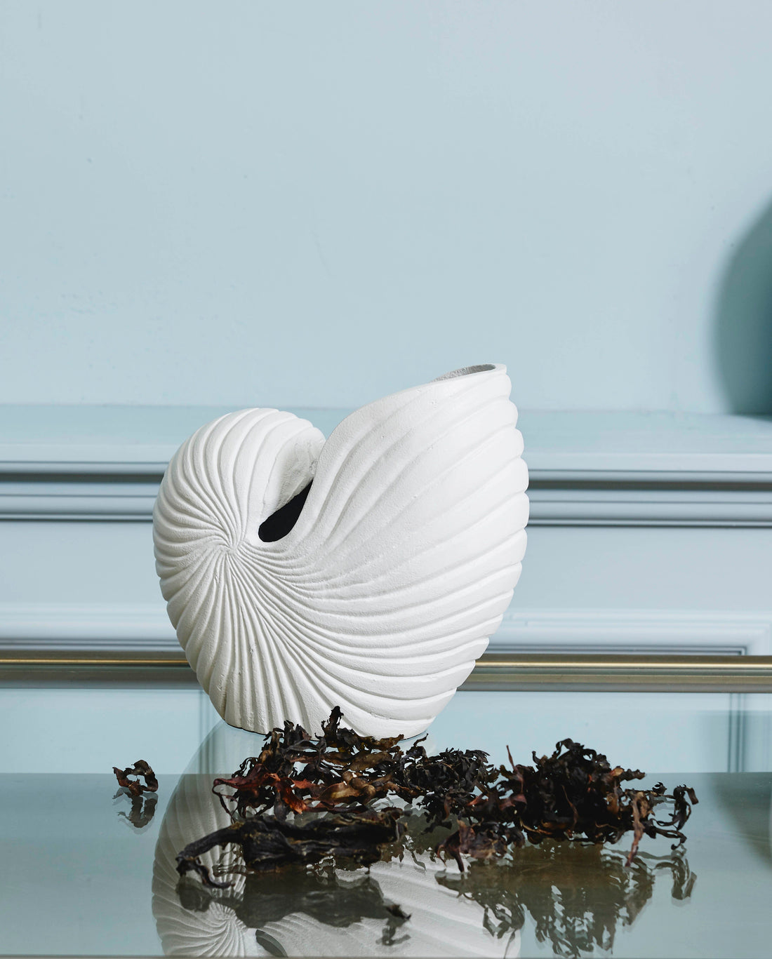 Rakitu blommor vas - conch - h25 cm - vit