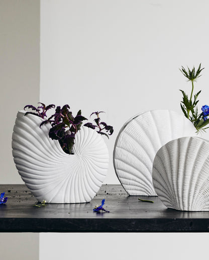 Rakitu blommor vas - conch - h25 cm - vit