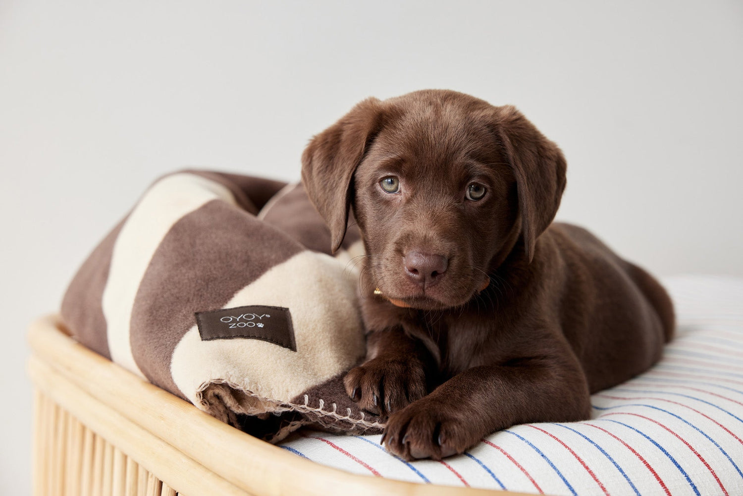 Oyoy Zoo Kaya hundfilt - stort