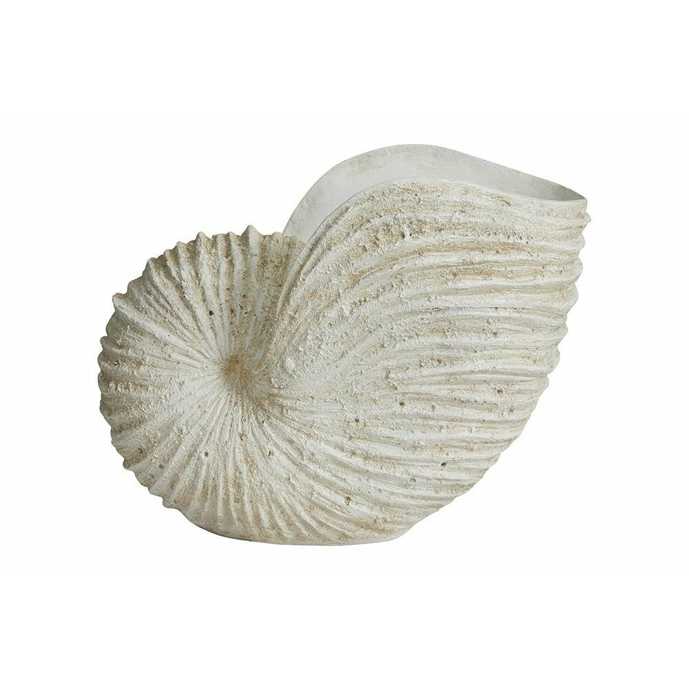 Ketoy Conch för dekoration - H41 cm - vit