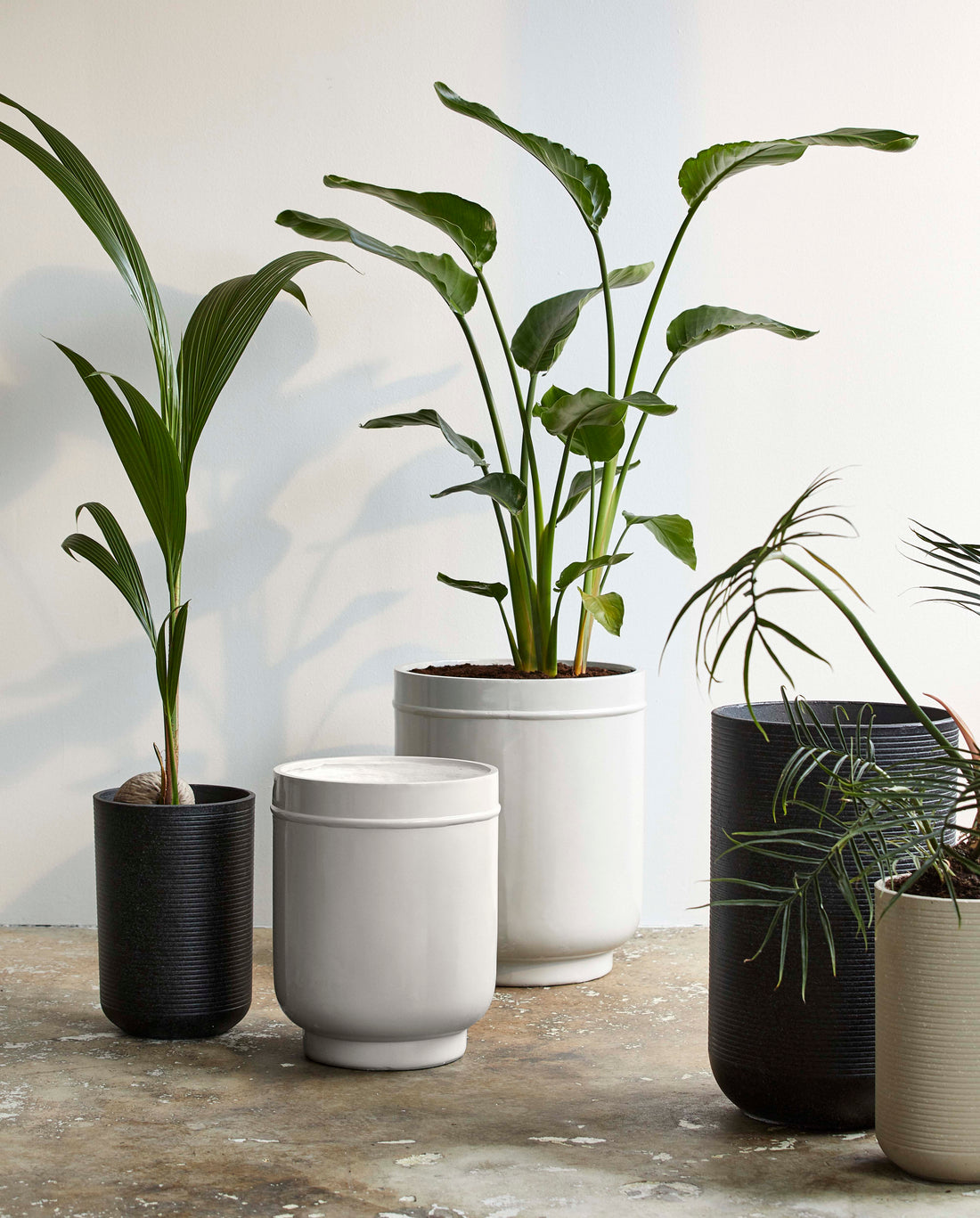Eday Herbal Pots - 2 st. - H56/46 cm - grå